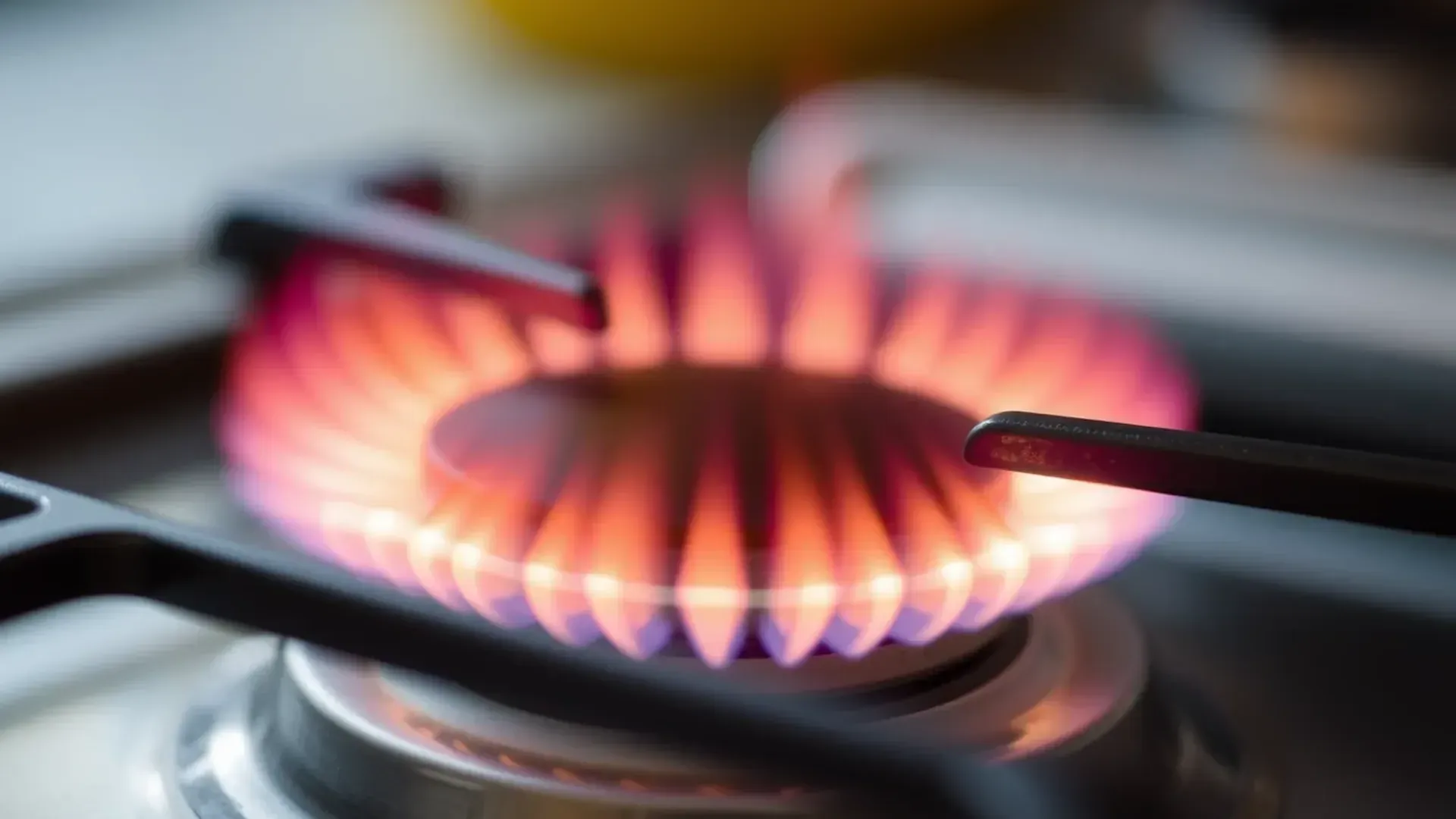 Gids voor eco solar energy: duurzame energie besparen